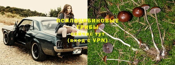 хмурый Нея