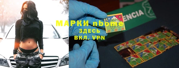 хмурый Нея