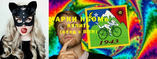 хмурый Нея