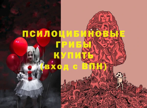 мдпв Новодвинск