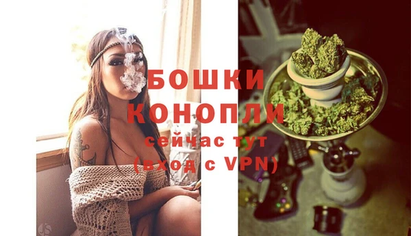 прущие грибы Белая Холуница