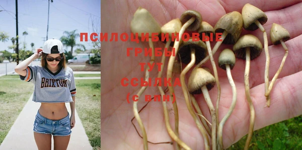 герыч Новозыбков