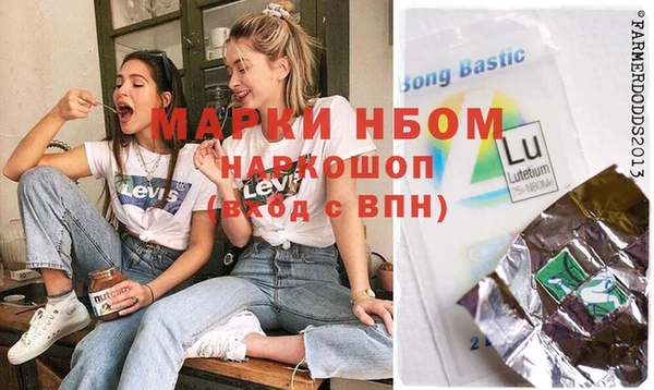 хмурый Нея