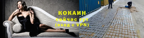 гидропоника Новокубанск